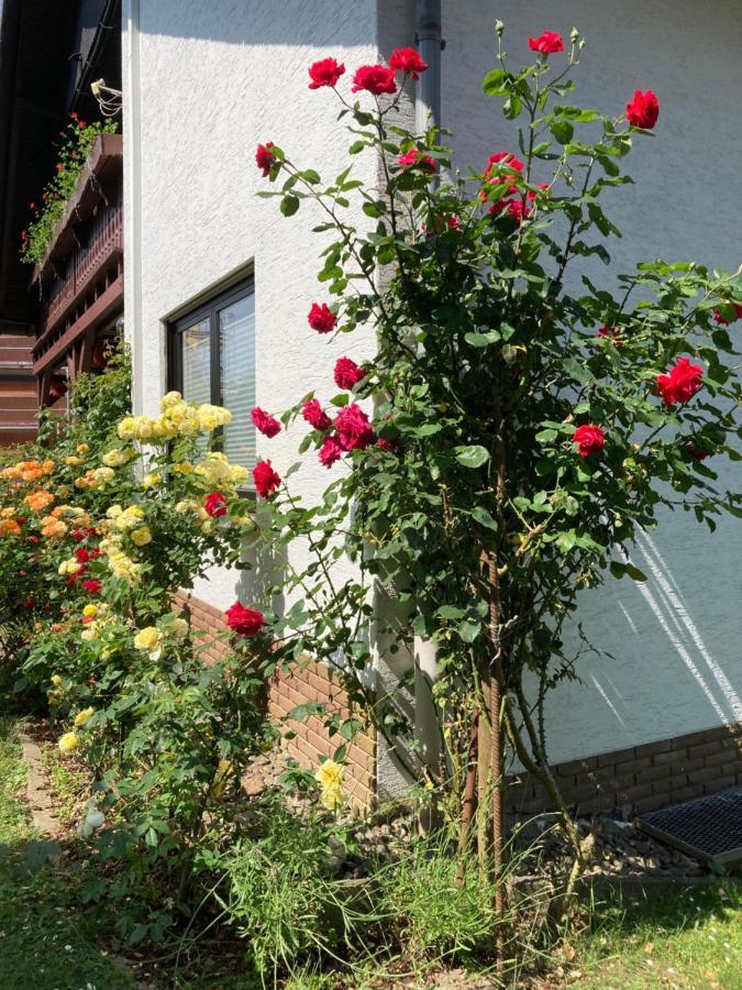 Ferienwohnung Rosengarten Osburg Exterior foto